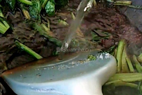 菠菜独面筋的做法图解6