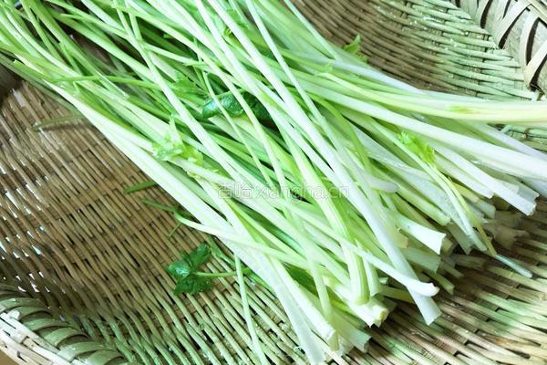 芹菜鲜肉饺的做法图解5