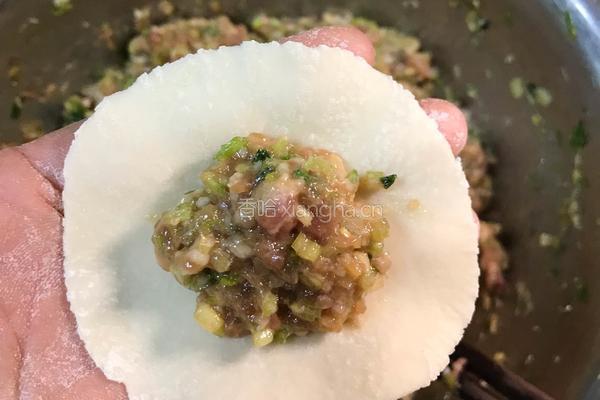 芹菜鲜肉饺的做法图解14