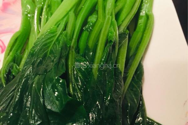 蒜泥菜心的做法图解3