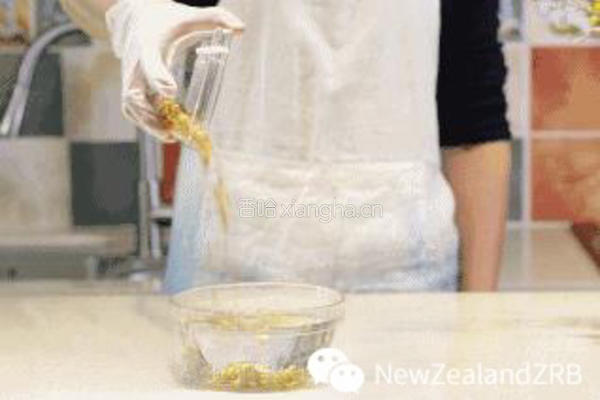 新西兰花胶筒子骨黄豆苦瓜汤的做法图解1