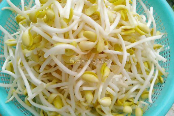 香辣黄豆芽的做法图解3