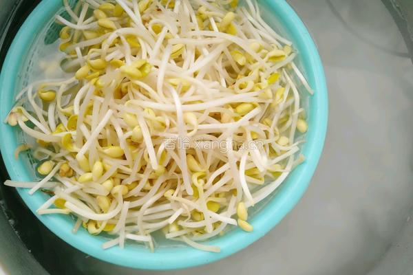 香辣黄豆芽的做法图解4