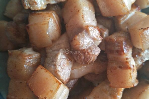 肥儿不腻的红烧肉的做法图解4
