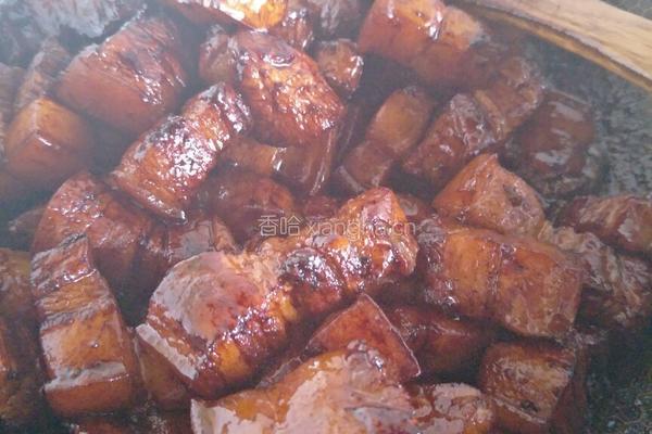 肥儿不腻的红烧肉的做法图解8