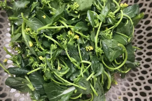 清蒸油菜花苔的做法图解2