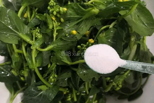 清蒸油菜花苔的做法图解4
