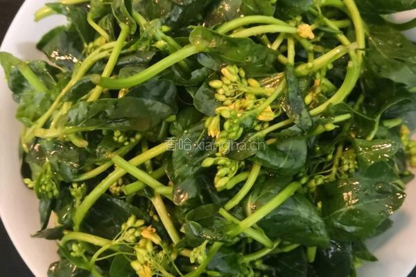 清蒸油菜花苔的做法图解8