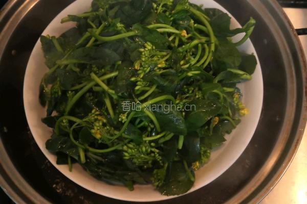 清蒸油菜花苔的做法图解10
