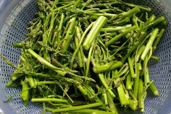 蒜香芦笋花的做法图解3