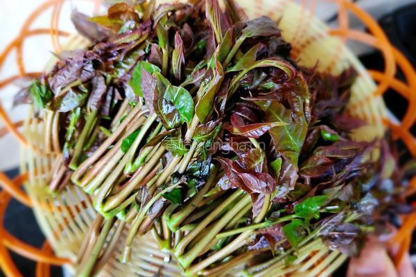 香椿炒豆干的做法图解2
