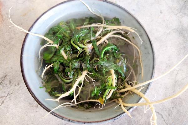 荠菜炖乌骨鸡汤的做法图解5