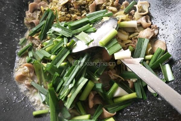 酸菜肥肠的做法图解12