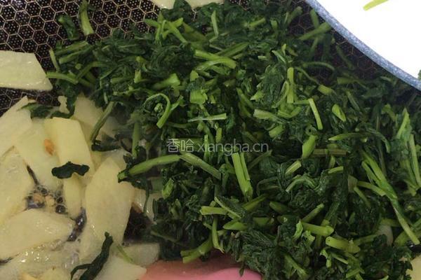 炒孟菜的做法图解11