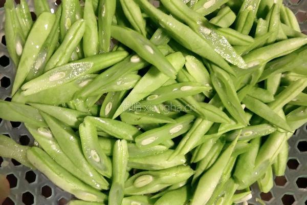 四季豆炒肥肠的做法图解2