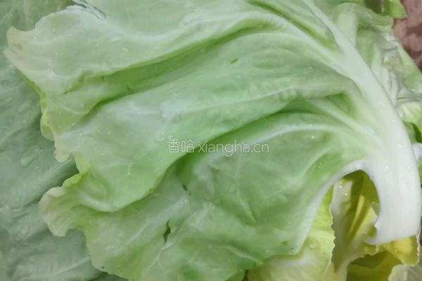 枸杞素包菜的做法图解1