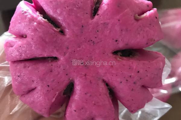 火龙果花型面包的做法图解5