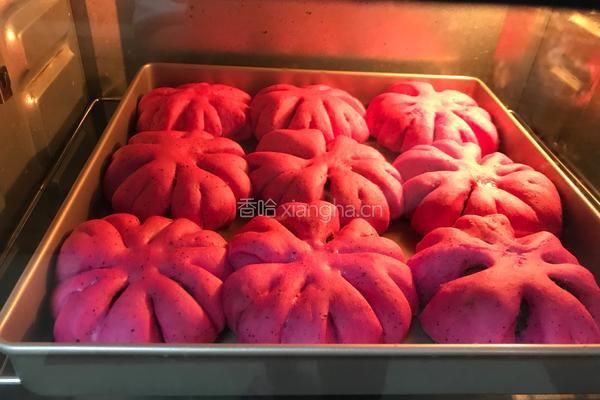 火龙果花型面包的做法图解7