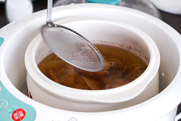 海底椰鳄鱼肉汤，止咳润肺气管炎必备的做法图解4