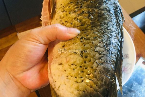 家菜泡椒鲫鱼的做法图解3