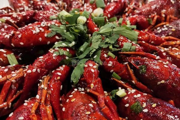 油焖大虾（小龙虾）的做法图解9