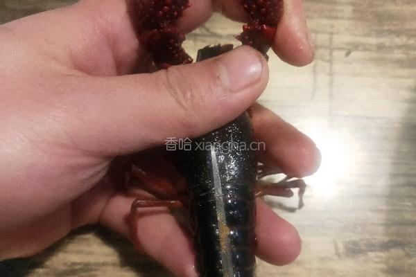 油焖大虾（小龙虾）的做法图解2