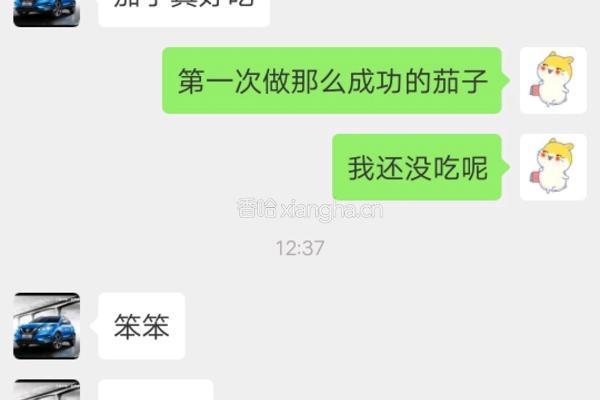 肉沫茄子的做法图解5