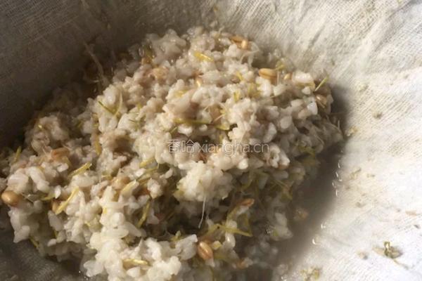 自制麦芽糖的做法图解8