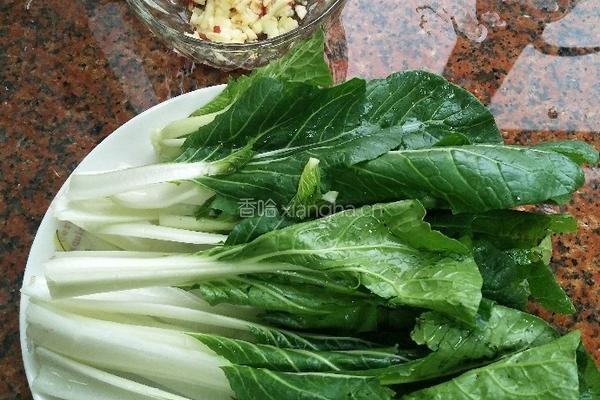 蒜蓉小白菜的做法图解1