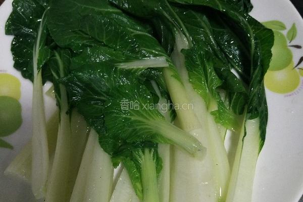 蒜蓉小白菜的做法图解7