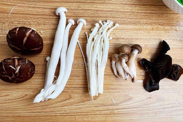 家常土豆炖牛肉的做法图解7