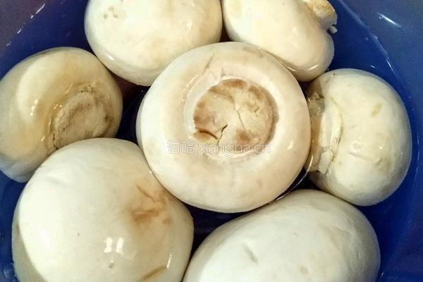 鲜蘑菇炒肉沫的做法图解3