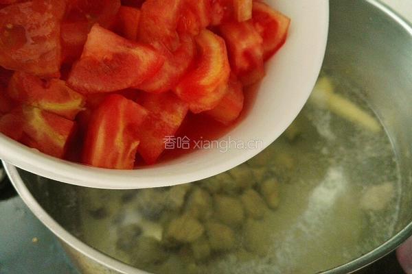 苹果番茄牛肉汤的做法图解7