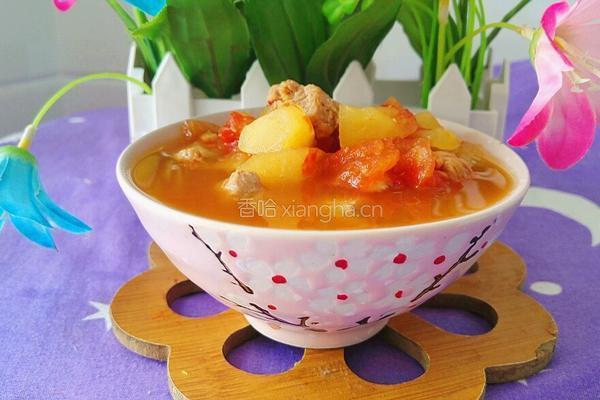 苹果番茄牛肉汤的做法图解12