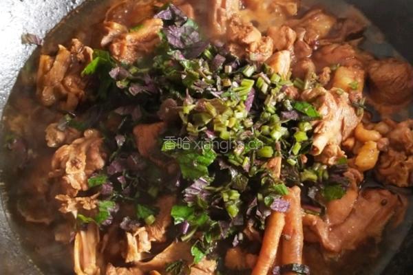 闷鸭肉的做法图解7