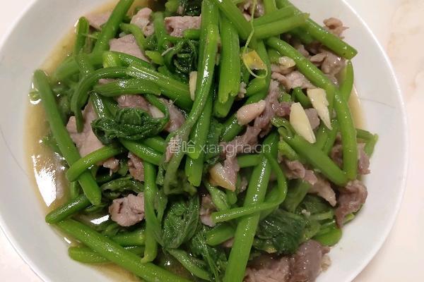 瘦肉炒南瓜苗