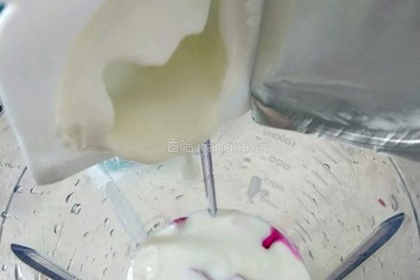 火龙果酸奶昔的做法图解3
