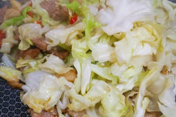 包菜炒肉的做法图解6