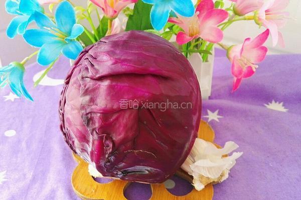 素炒紫包菜的做法图解1