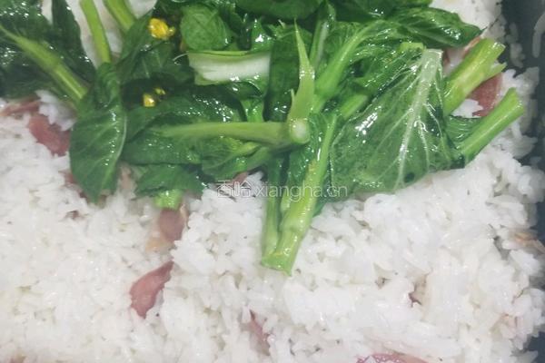 腊肠饭的做法图解8
