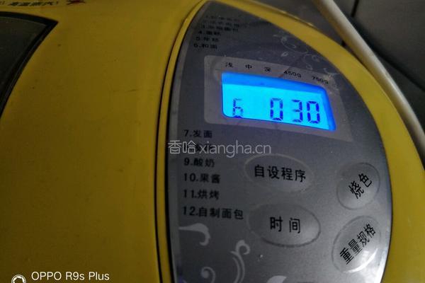 黑全麦西蓝花叶子小列吧的做法图解5