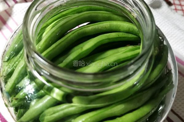 等到21天之泡菜出坛记的做法图解8