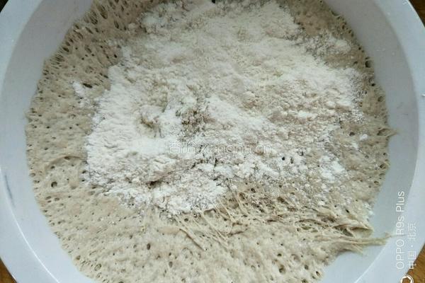 鸡油椒盐荞麦面花卷的做法图解3