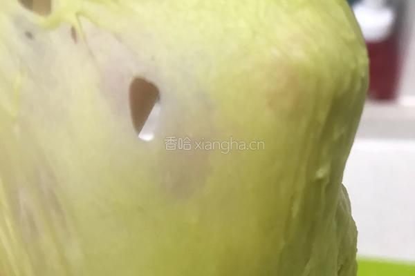 抹茶羊角面包的做法图解9