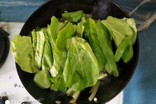 炝炒小白菜的做法图解5
