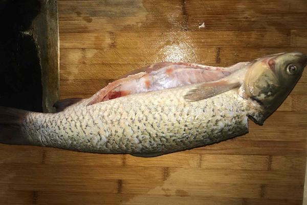 铁锅炖鱼的做法图解1