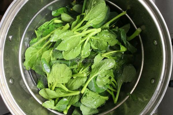 盐水菜心的做法图解5