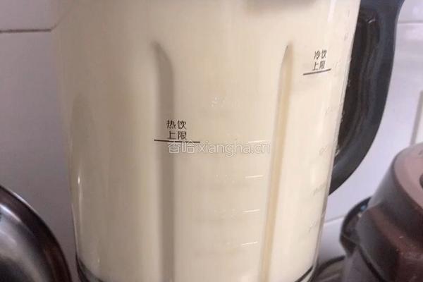 鹰嘴豆燕麦米糊（不饿减脂菜谱）的做法图解5