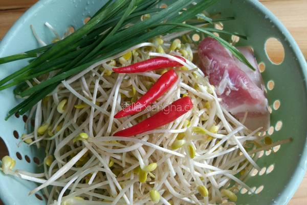 豆芽炒肉的做法图解1