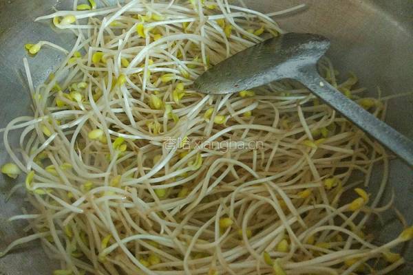 豆芽炒肉的做法图解4